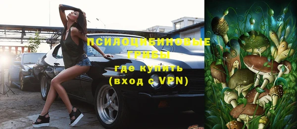 индика Верхний Тагил