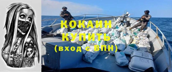 индика Верхний Тагил